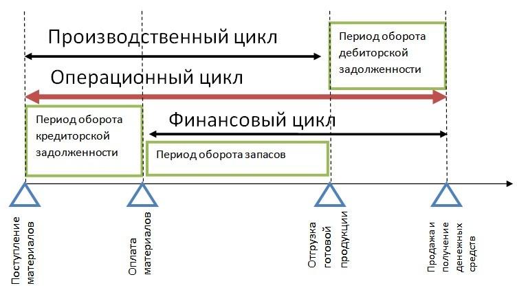 Основы производственного цикла и методы организации производства