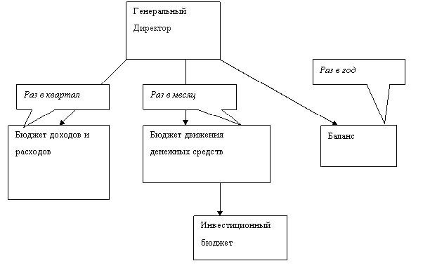 Как часто Генеральный директор должен контролировать основные бюджеты