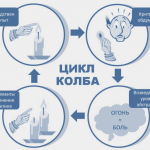 цикл колба
