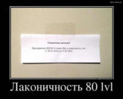 Лаконичность
