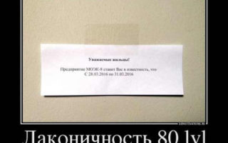 Лаконичность